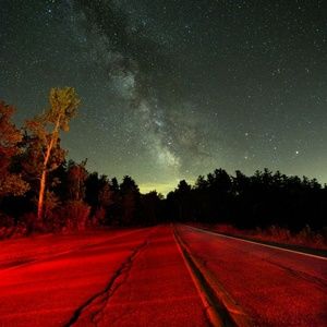 Meet your Posher, Brady